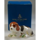 A Royal Crown Derby paperweight, Puppy - Belle, gold stopper,
