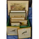 English School (19th century), a matched set of three, chickens, including Partridge Cochins,