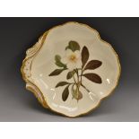 A Derby shell shaped botanical comport, painted with Christmas Rose, gilt line border, 24cm wide,