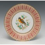 A Derby Crown Porcelain circular plate, painted with a bird perched on branches,