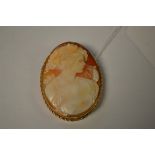 A 9ct gold mounted shell cameo