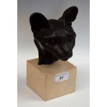 A bronzed metal animalier bust, of a cat,