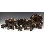 A herd of African hardwood elephants,