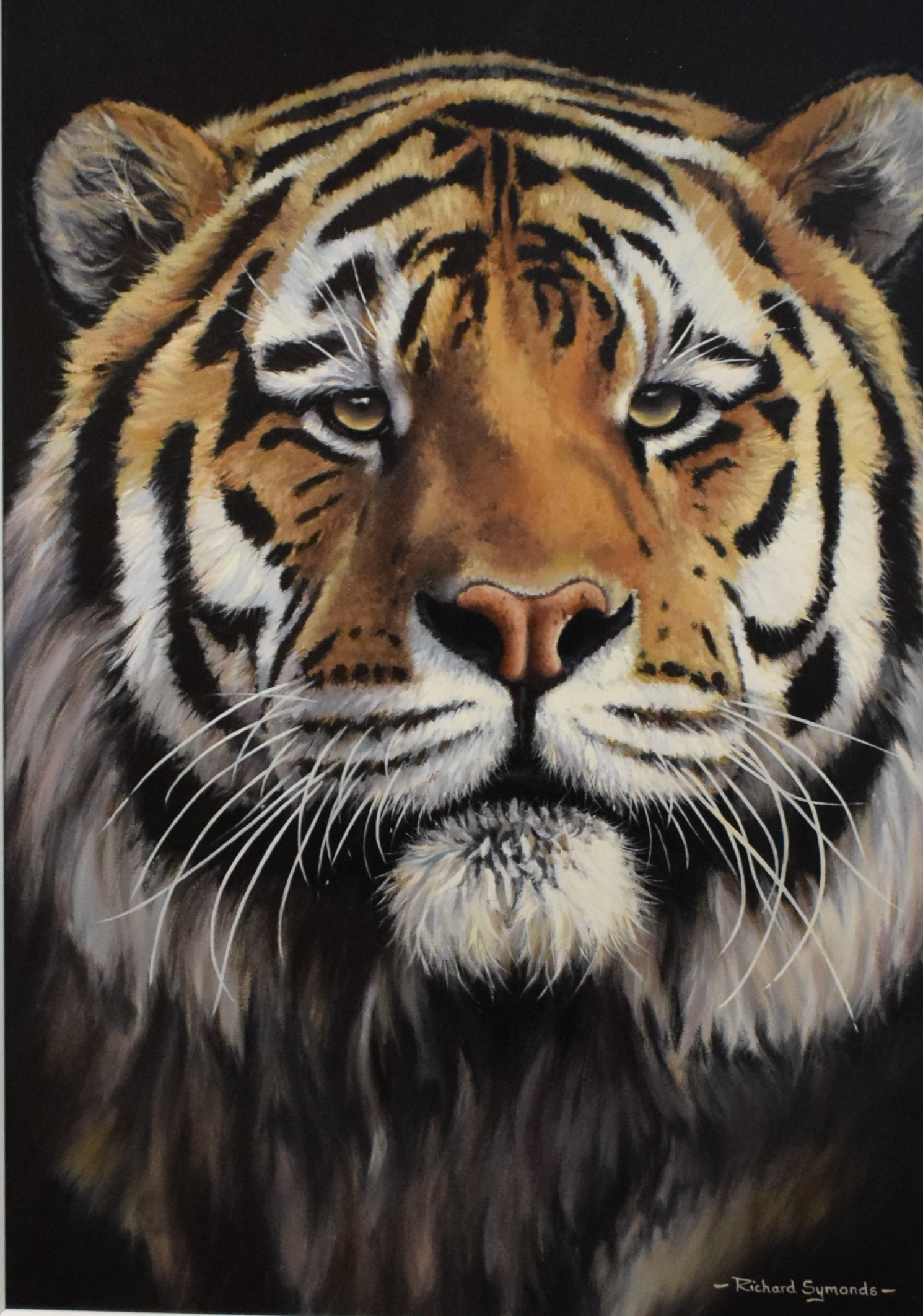 Tiger Pride II - An original Oil by Richard Symonds Richard's passion and commitment for wildlife