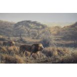 The Pride Lands - Morning in the Masai Mara,