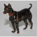 Austrian School, early 20th century, a cold painted bronze model of a Doberman,