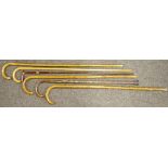 Walking Sticks - various,