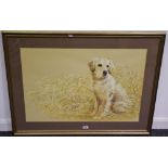 After Pollyanna Pickering 'Golden Retriever' framed