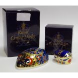 A Royal Crown Derby paperweight , Computer Mouse, boxed, gold stopper; Millennium Bug, boxed,