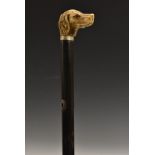 A 19th century ivory gentleman's walking stick handle, carved as the head of a dog, glass eyes,