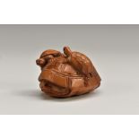 A Japanese boxwood netsuke, carved as a turtle and young, 5cm long,