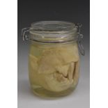 Natural History - a wet jar specimen, of a cow's heart, preserved in formaldehyde, 14.