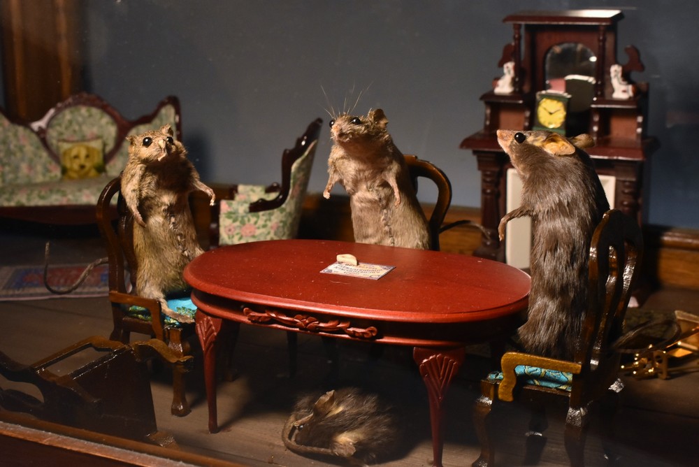 Taxidermy - a novelty diorama, inspired by the work of Walter Potter, of a séance of mice, - Image 2 of 2