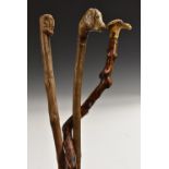 A 19th century folk art hedgerow walking stick, the stag antler handle carved as a stylised head,