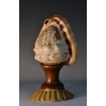 A Grand Tour cameo conch shell, carved in shallow with the Three Graces, after the Antique,