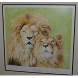 Steven Parsons, by and after, Back to the Bush, Aslan and Gilda two of Born Free's rescued lions,