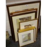 Prints - limited edition and others including Andrew Hutchinson, Kingfisher,