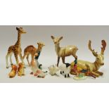 Various Beswick models including giraffe, camel,sheep,pheasants,squirrels,