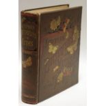 Books - European Butterflies and moths, W.F.