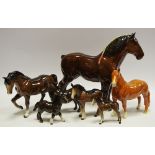 Seven Beswick models of horses, various breeds including large shire horse, ponies,