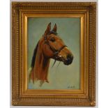Alistair Bratton (1910 - 1963) Study of a Horse signed, oil on board, 39cm x 28.