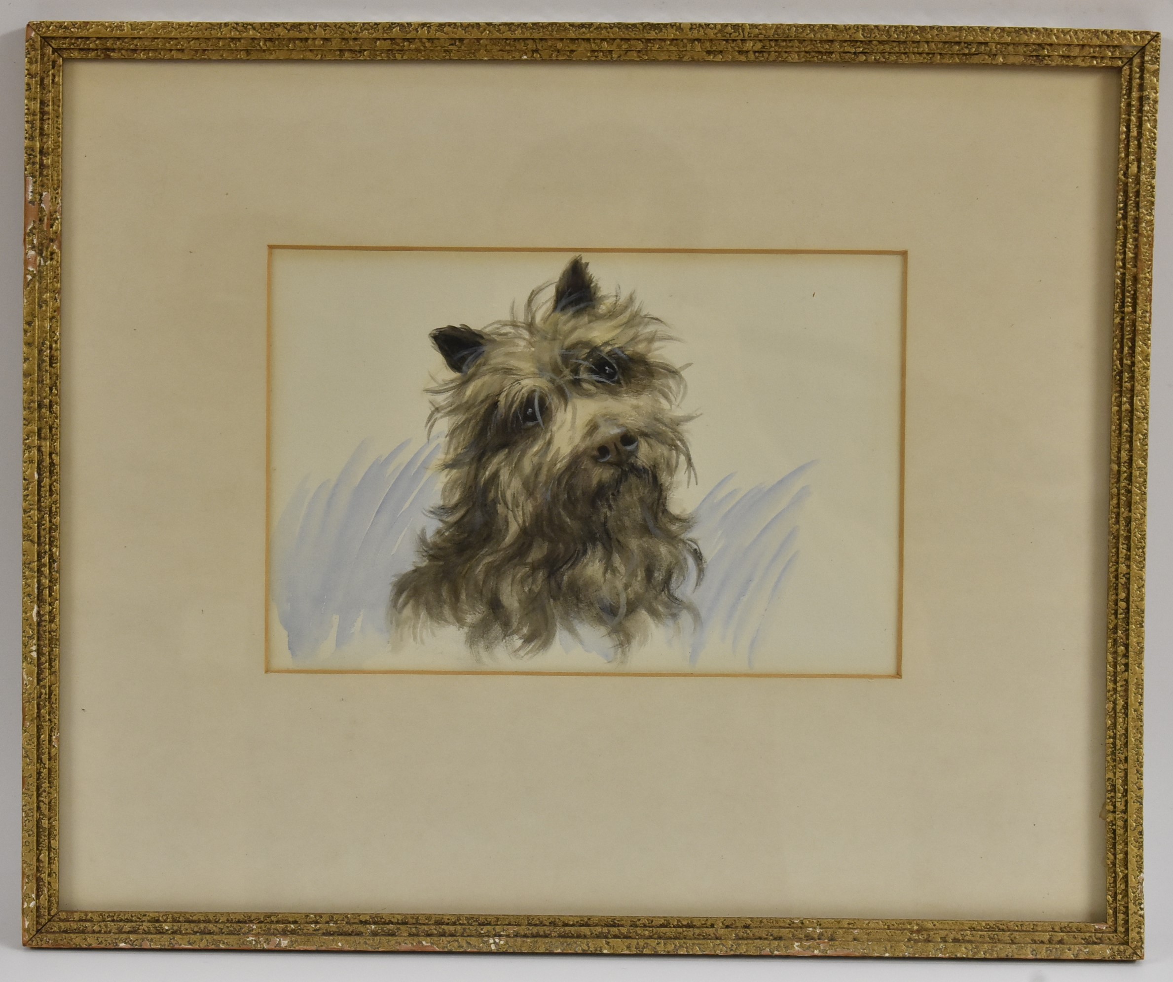British School, mid 20th century, Portrait of a Cairn Terrier, watercolour, 16.