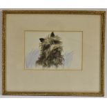 British School, mid 20th century, Portrait of a Cairn Terrier, watercolour, 16.