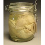 Natural History - a wet jar specimen, of a cow's heart, preserved in formaldehyde, 14.