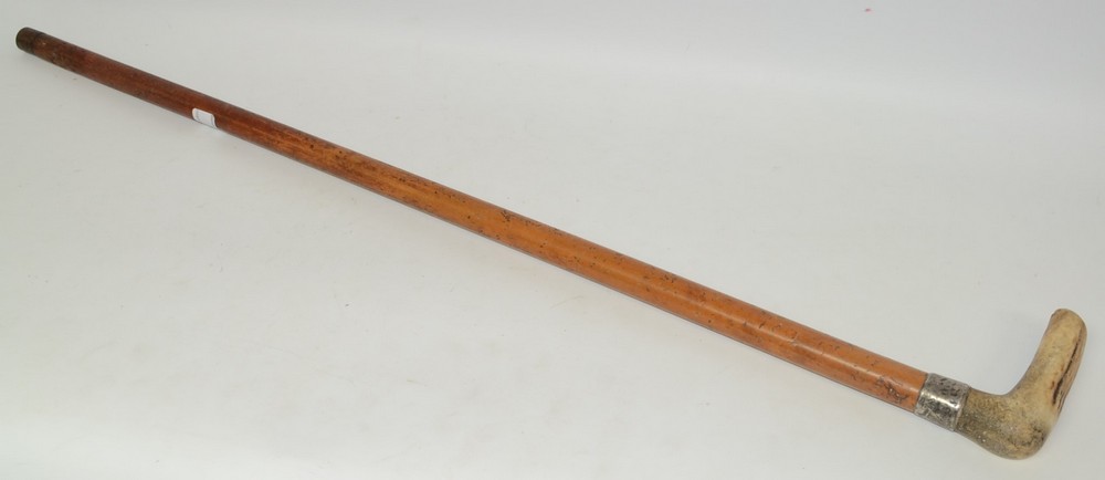 A George V horn hafted malacca walking cane, R Bone, Fakenham, silver collar,