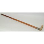 A George V horn hafted malacca walking cane, R Bone, Fakenham, silver collar,