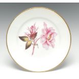 A Derby circular botanical circular plate, painted with Single Flowered Lloyd Provins Rose,