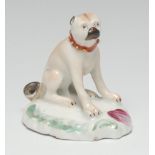A Derby Patch Mark model of a seated pug, decorated in brown, wearing a studded collar,