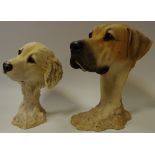 A Sherratt & Simpson large model of a Labrador's head 28cms high;