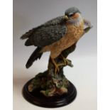 A Country Artist resin model of a Sparrow Hawk,