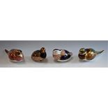 A Royal Crown Derby paperweight, Pheasant, printed mark, gold stopper, boxed; others,