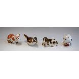 A Royal Crown Derby Collectors Guild Exclusive paperweight kitten, Spice, boxed; others,