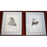 Don Cordery, by and after, a pair of lithograph prints, Bald Headed Eagle and Goshawk,