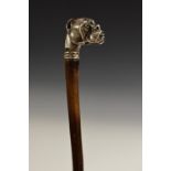 A novelty walking stick, the silvered pommel cast as the head of a bulldog,