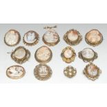 A quantity of 19th century shell cameos, many after the antique, carved with ancient Roman busts,