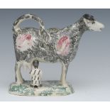 A 19th century Staffordshire cow creamer, standing four square, painted black, puce patch markings,