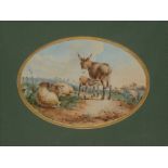English School (19th century) Sheep, Donkey and Foal watercolour, oval mount, 22.