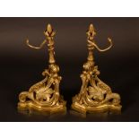 A pair of late 19th century gilt brass andirons, cast with scrolling acanthus and lotus buds,