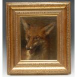 English School (19th century) Study of a Fox oil on canvas on laid on oak panel,