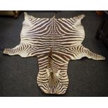 Taxidermy - a zebra hide rug.