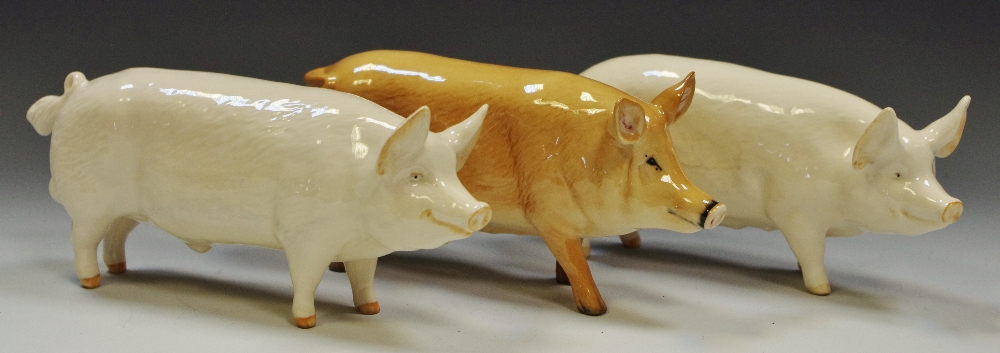 A Beswick model, of a boar, Ch. Wallboy 53', no. 1453A; a simialr sow, 'Ch. Wallqueen 40', no.