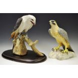 A Royal Crown Derby falcon; swallow tailed kite by J.