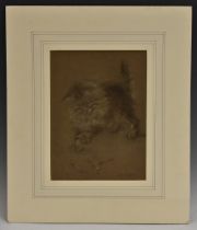In the manner of Maud Earl A Playful Kitten bears signature, chalk and charcoal,