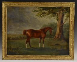 English School (19th century) Portrait of a Horse inscribed to verso William Eden's Horse,