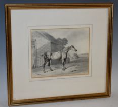 B Fenning (19th century) Portrait of a Horse, Goldfinch signed, inscribed and dated 1931,