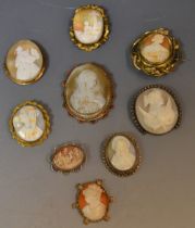 Jewellery - a Victorian shell cameo brooch,